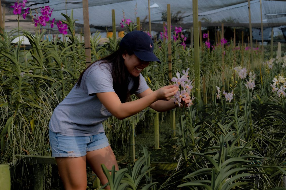 About Us The Flower Factory