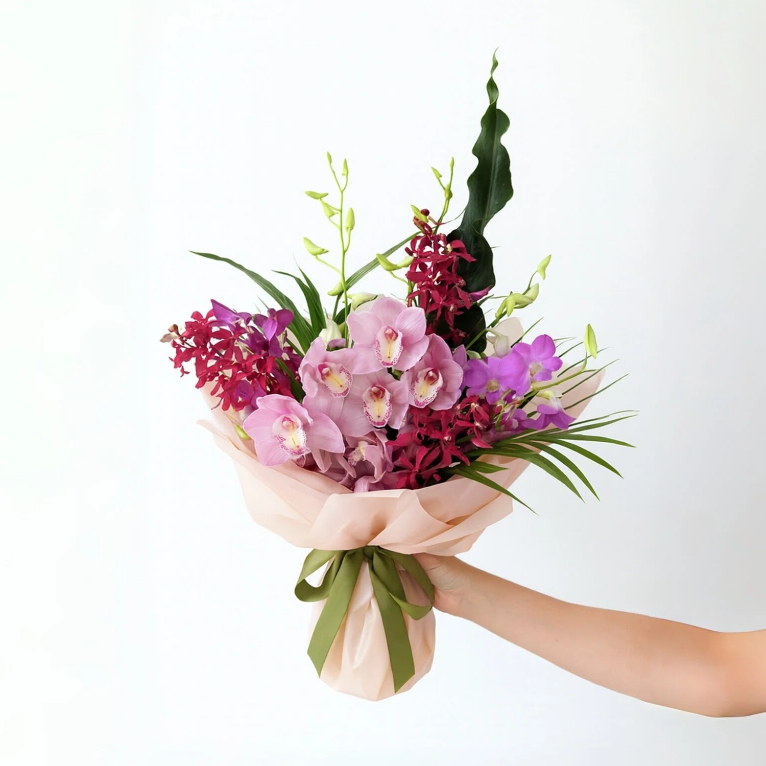 pink wrap green ribb 兰花 pink wrap green ribb 兰花