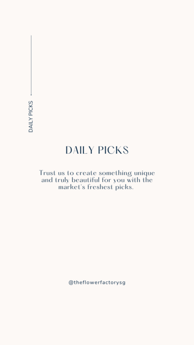 (Pre-order) Daily Picks Bouquet