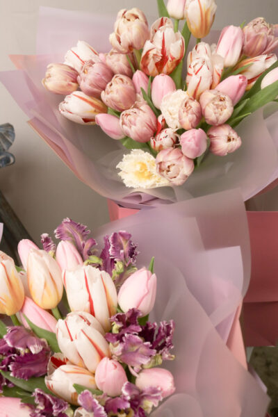 Tulip En Masse - Image 2