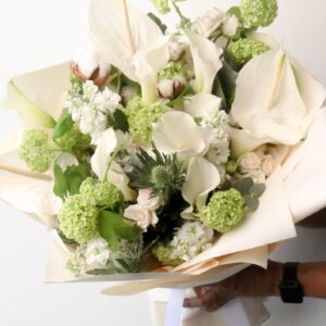 Omakase : White & Neutrals