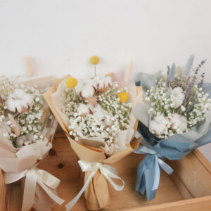 Cotton Minis