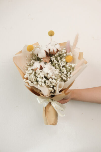 Cotton Minis - Image 4