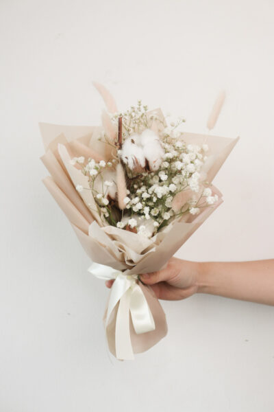 Cotton Minis - Image 3