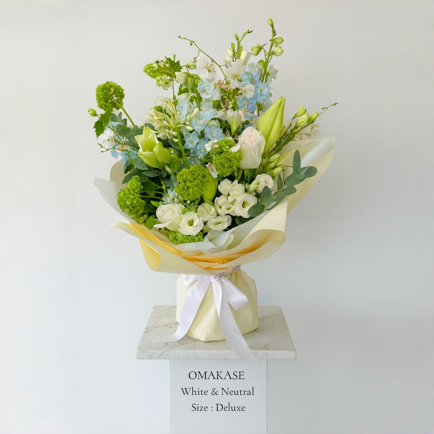 e027b103-40d1-4969-a2f3-6d6bb043c1cb_副本 e027b103-40d1-4969-a2f3-6d6bb043c1cb_副本