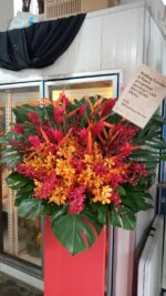 (Same-Day Delivery) Celebratory Opening Stands - Image 5