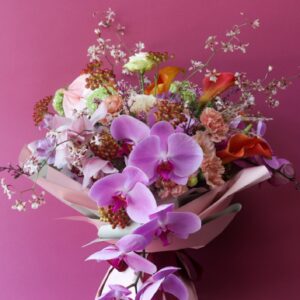Omakase : Orchids