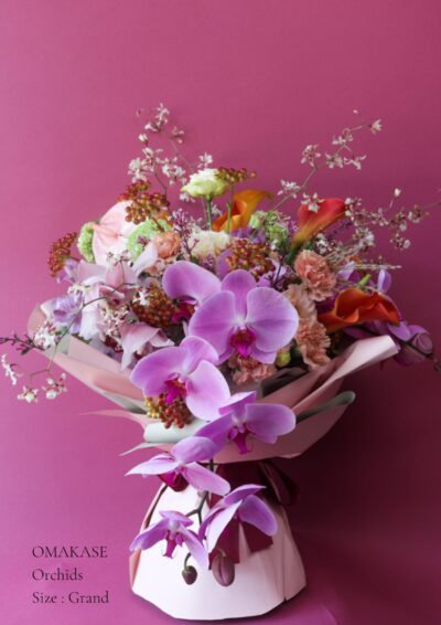 Omakase : Orchids