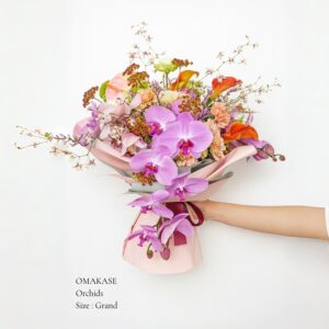 Omakase : Orchids