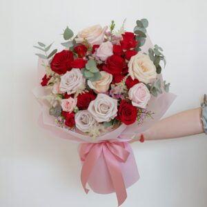 Sweet Pink and Red Roses - Aurora