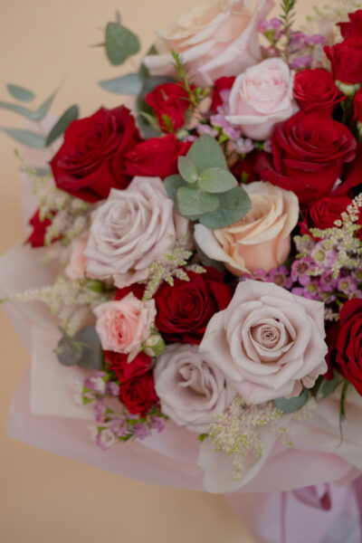Sweet Pink and Red Roses - Aurora - Image 2