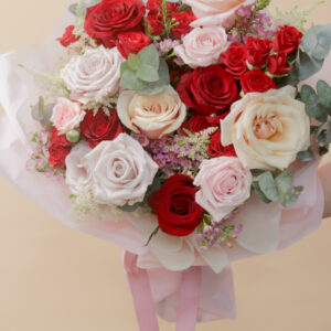 Sweet Pink and Red Roses - Aurora
