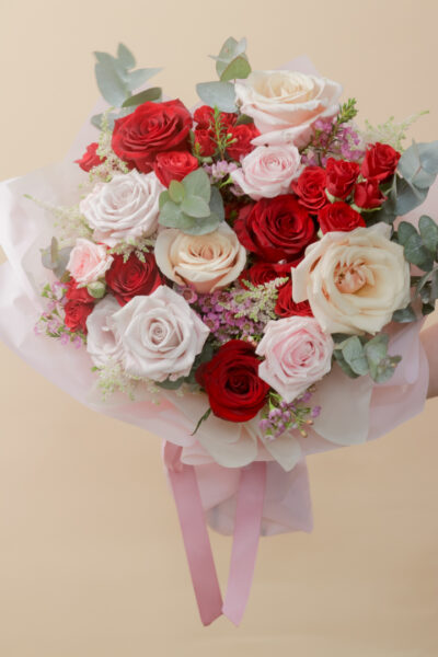 Sweet Pink and Red Roses - Aurora