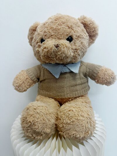 Teddy Bear with Classic Red Roses - Image 2