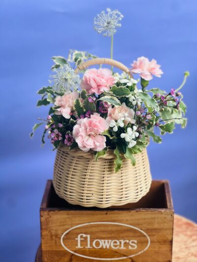 Grace in Bloom