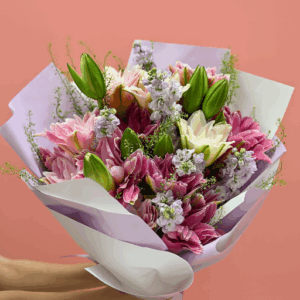 Double Petal Lily - Lavender Blush