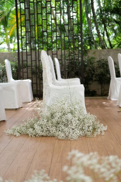 Baby Breath Hedges
