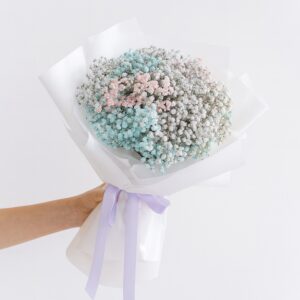 Baby Breath - Cotton Cloud