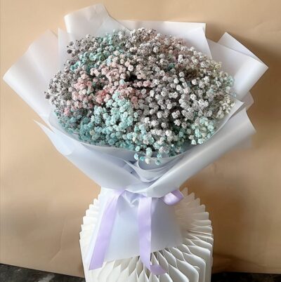 Baby Breath - Cotton Cloud