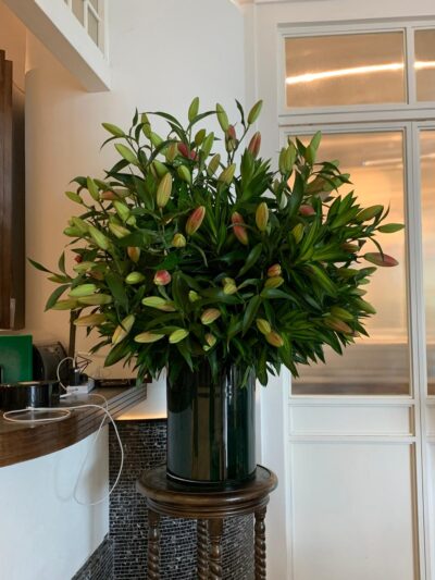 Lily Firework