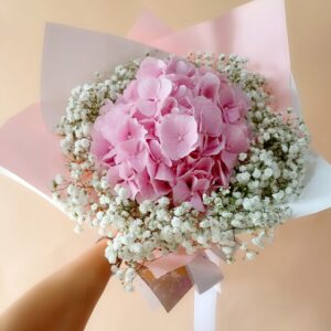 Pink Hydrengas with Baby Breath