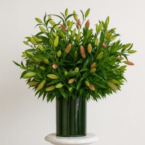 Lily Firework