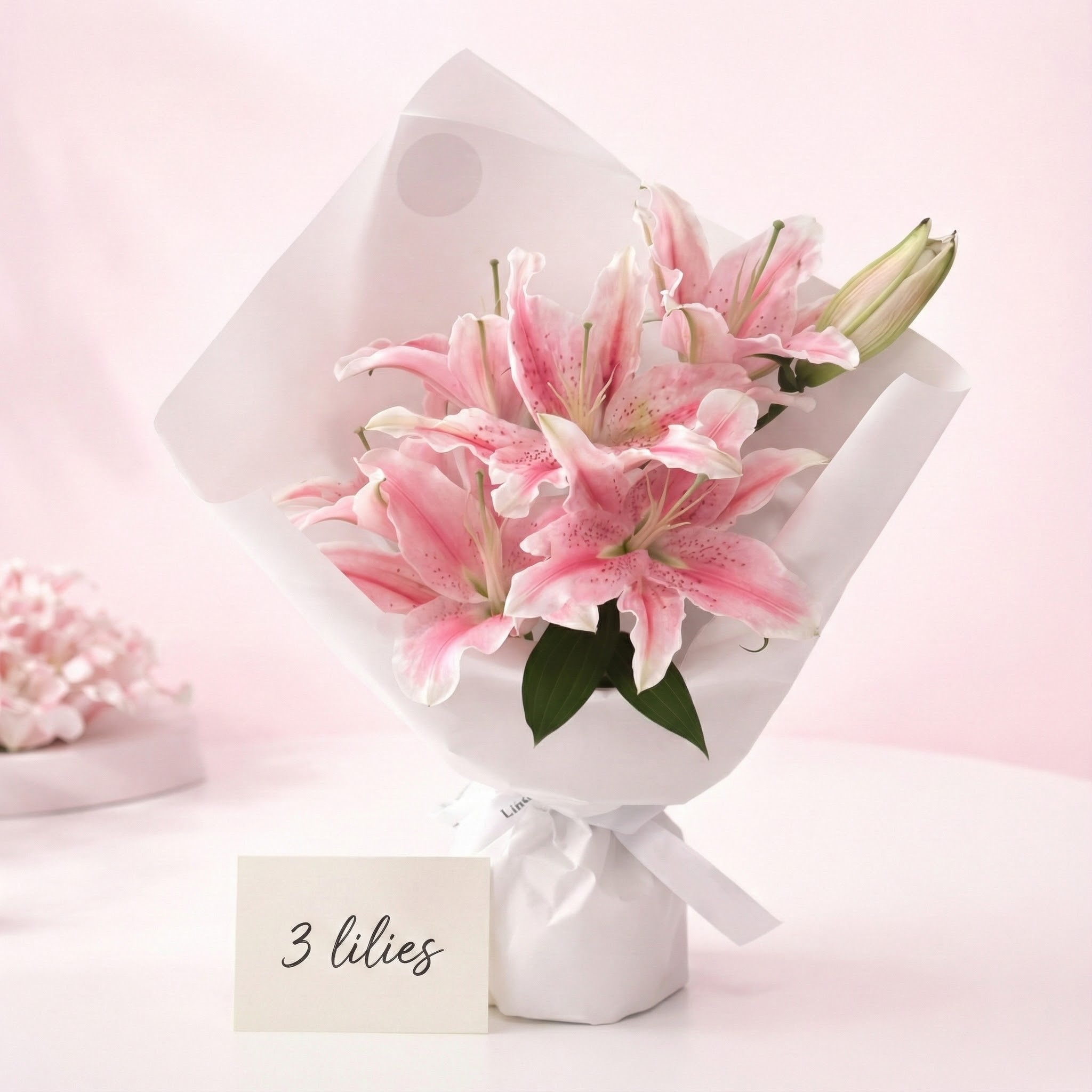 Gemini_Generated_Image_jgrk2zjgrk2zjgrk Gemini_Generated_Image_jgrk2zjgrk2zjgrk