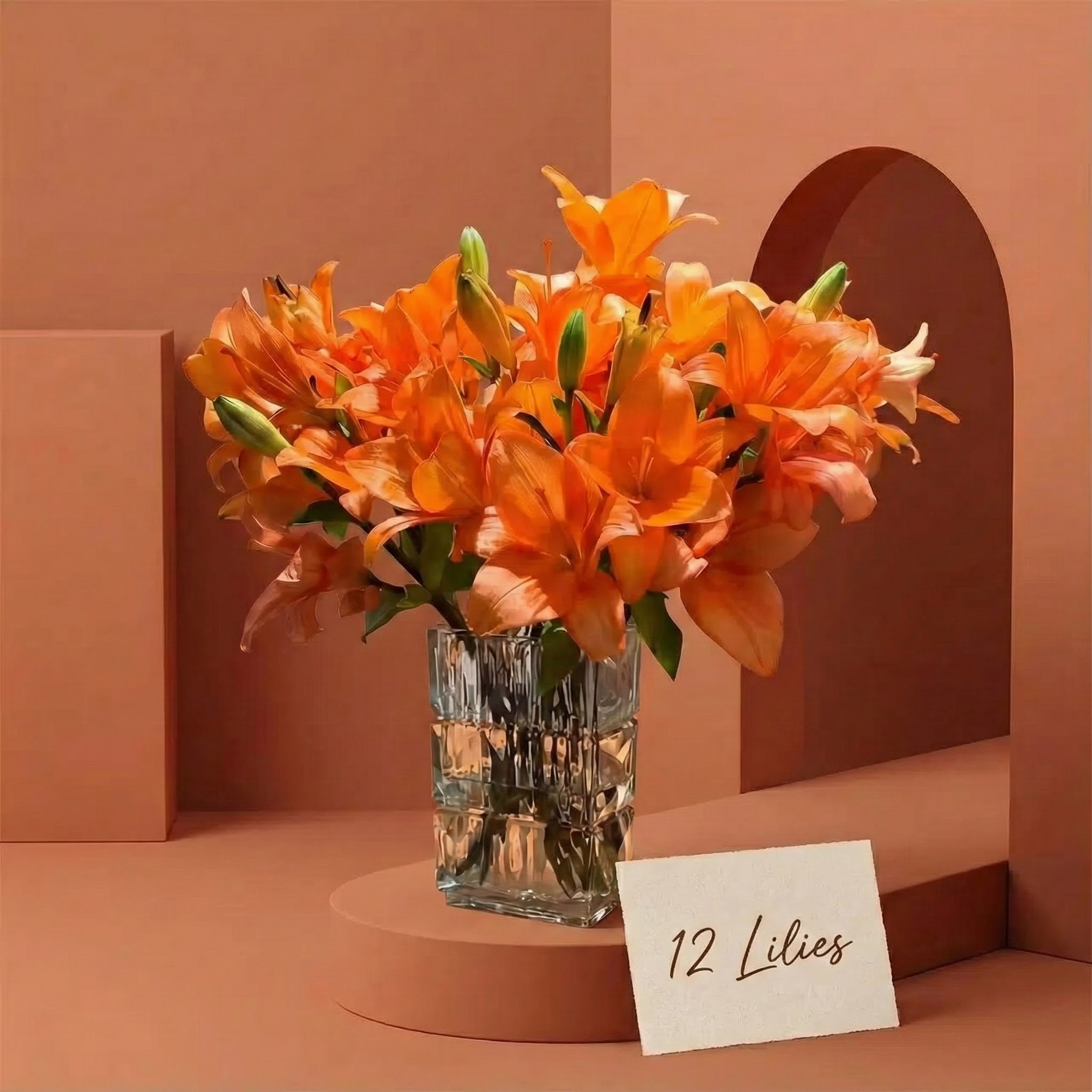 Gemini_Generated_Image_l853wjl853wjl853 Gemini_Generated_Image_l853wjl853wjl853