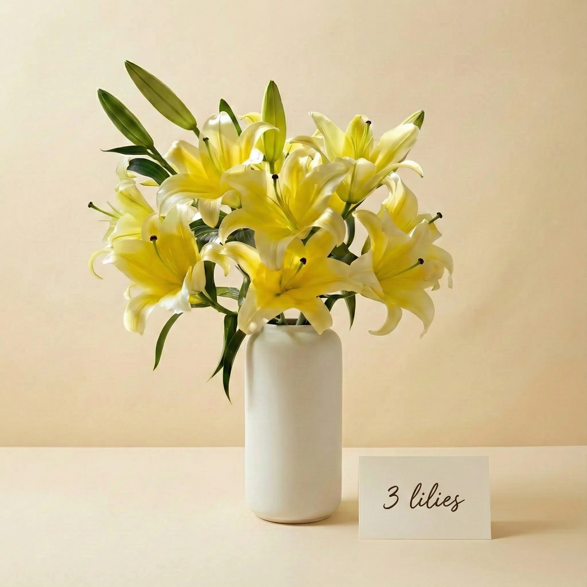 Gemini_Generated_Image_wxzdgswxzdgswxzd Gemini_Generated_Image_wxzdgswxzdgswxzd