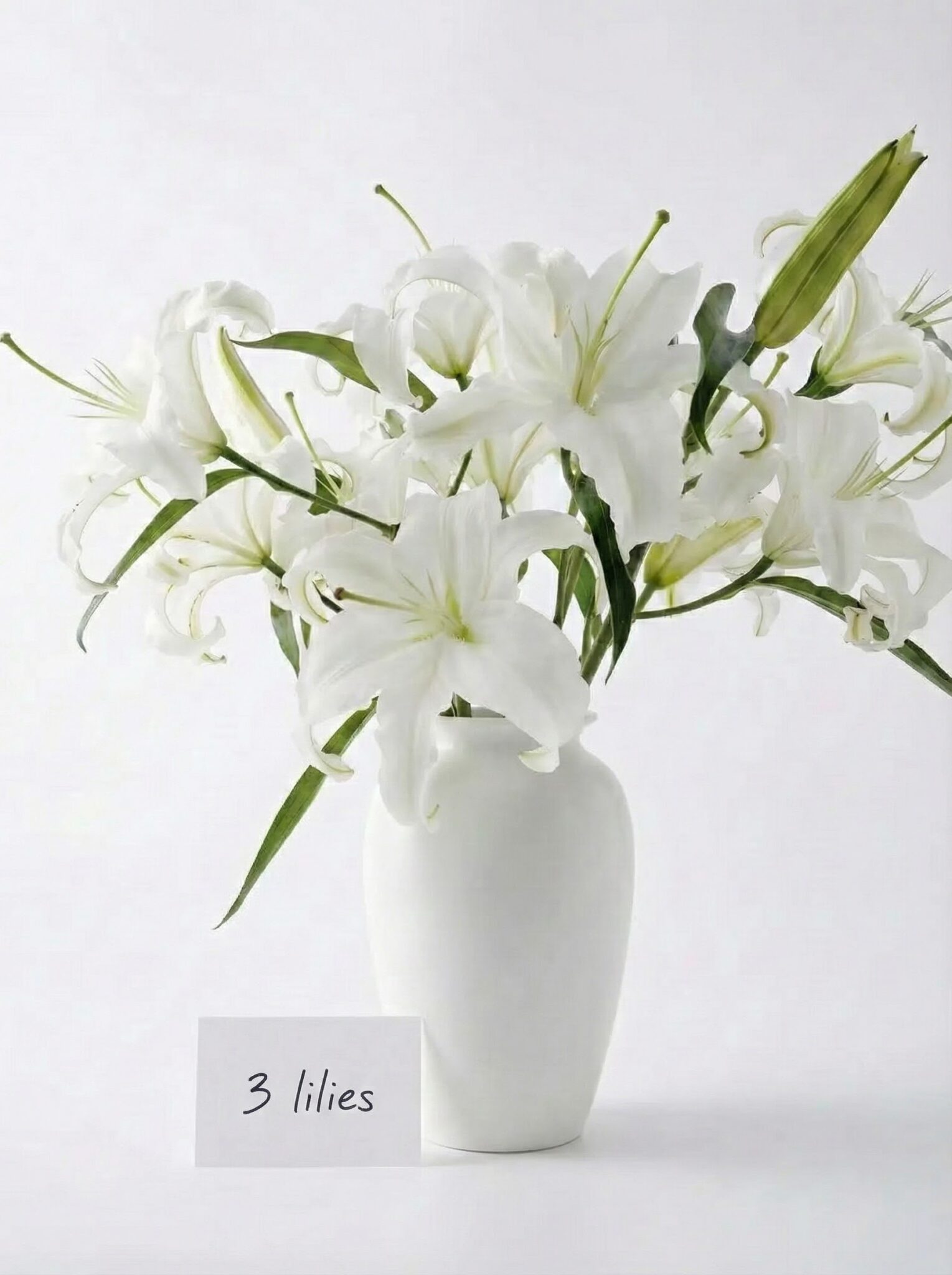 Gemini_Generated_Image_xazalgxazalgxaza Gemini_Generated_Image_xazalgxazalgxaza