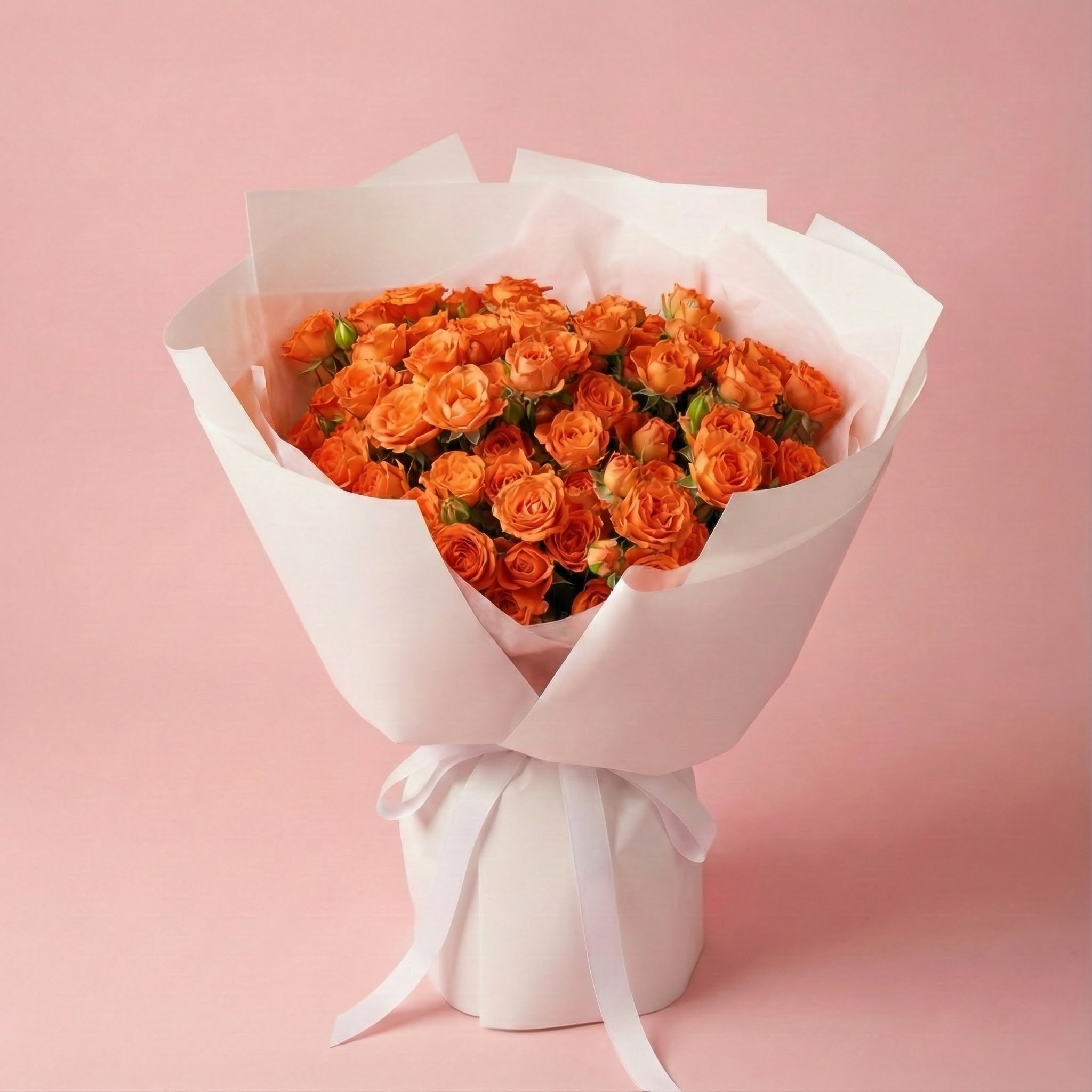 fb2f103cb69b786c7a405d08b8cb151 fb2f103cb69b786c7a405d08b8cb151