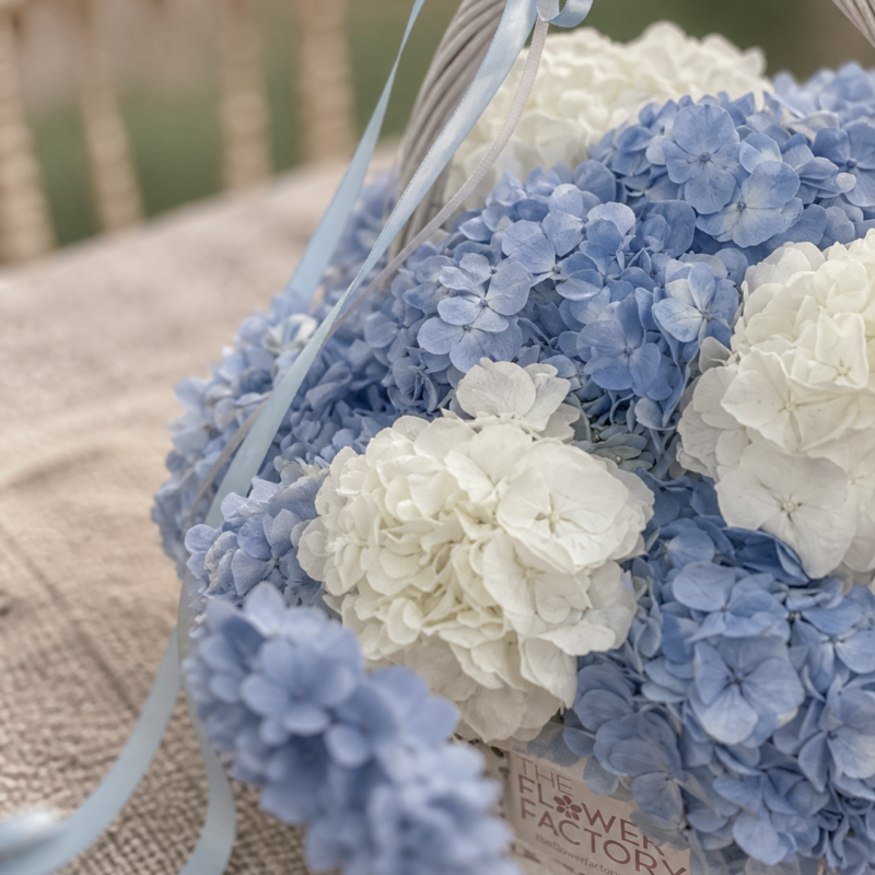 Azure Hydrangea Basket