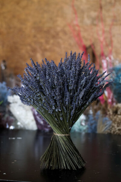 Lavender En Masse - Image 3