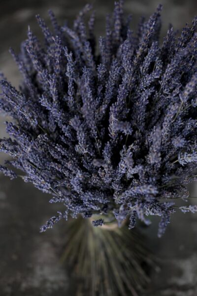 Lavender En Masse - Image 4
