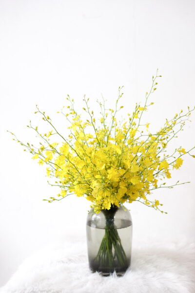 Oncidium En Masse - Image 3
