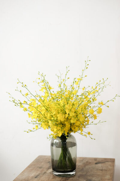 Oncidium En Masse - Image 2