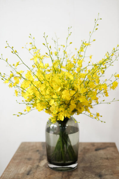 Oncidium En Masse - Image 5