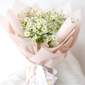Baby Daisies En Masse