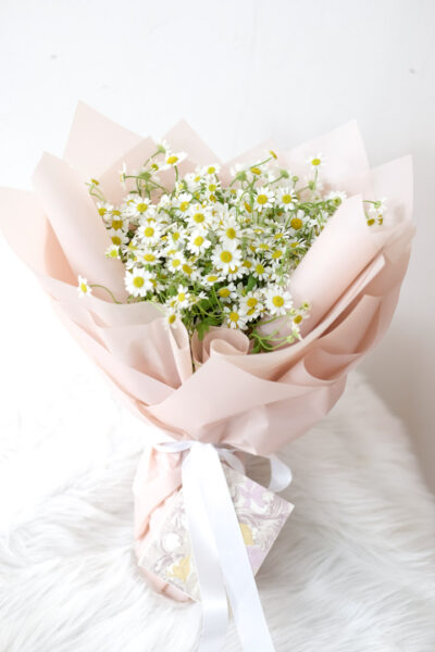 Baby Daisies En Masse