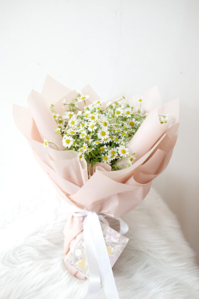 Baby Daisies En Masse - Image 3