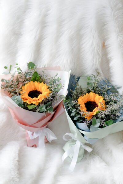 Sunny Bundle - Image 2