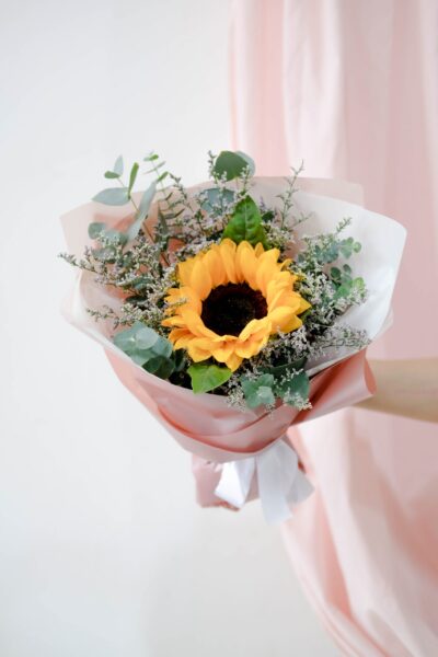 Sunny Bundle - Image 4