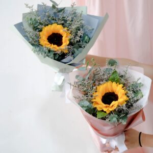Sunny Bundle