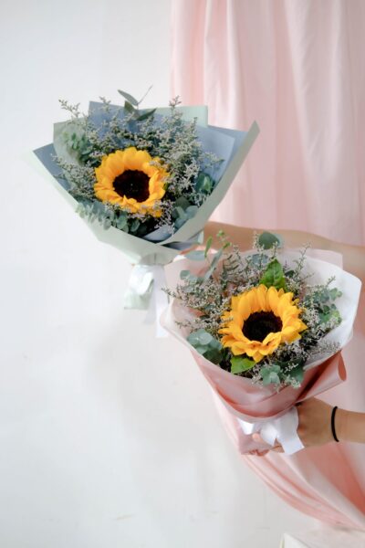 Sunny Bundle