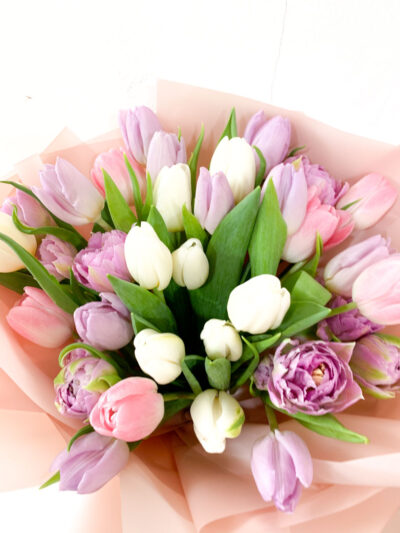Tulip En Masse - Image 5