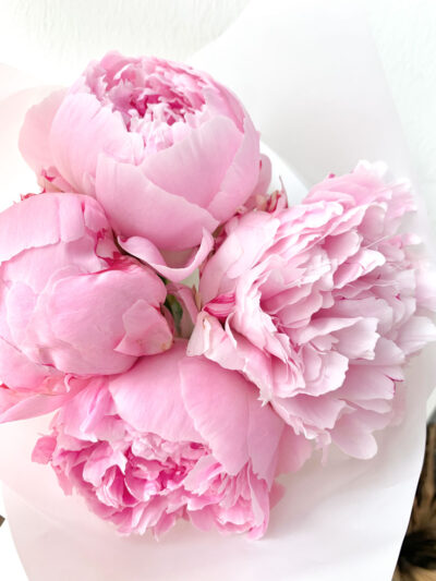 Peony En Masse - Image 4